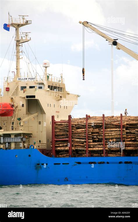 A Cargo Of Bulk Raw Timber Radiata Pine Logs At Marsden Point In New