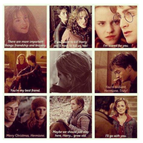 Hg And Hp Harry Potter Hermione La Saga Harry Potter Harry Potter
