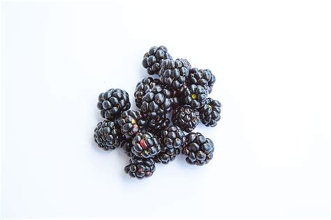 How To Dry Blackberries Blackberry Dried Berries Dried