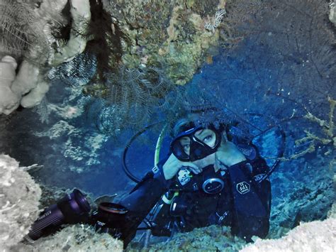 картинки океан женщина Подводный экстремальный вид спорта Водолаз виды спорта Филиппины