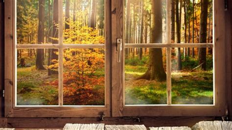Okna drewniane Czemu warto je wybrać