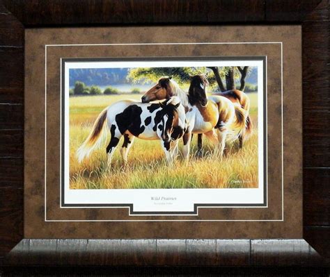 Cynthie Fisher Wild Prairies Horse Framed Print