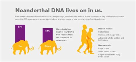 Neanderthals Neanderthal Genetics To Tell