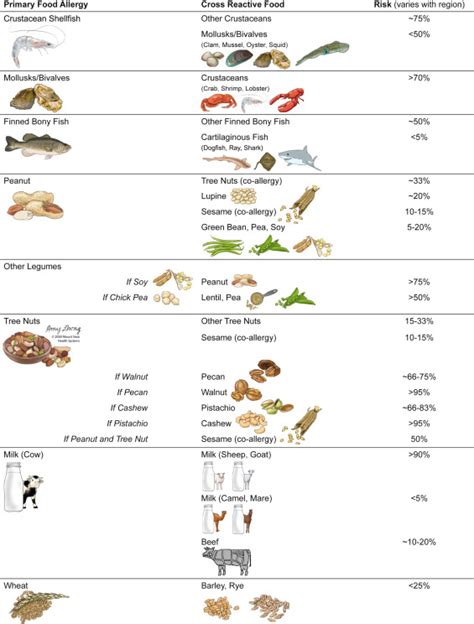 Food Allergy Cross Reactivity Chart