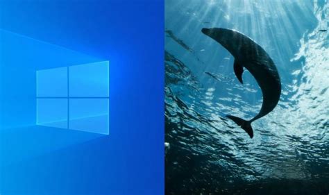 Windows 10 Background Pictures How To Use Windows 10
