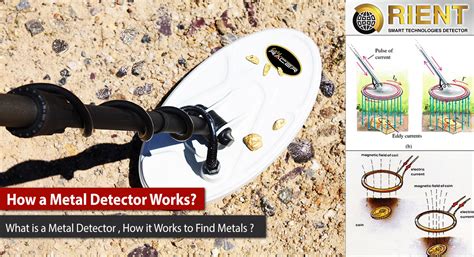 How A Metal Detector Works Best Gold And Metal Detectors
