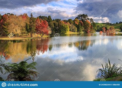 Autumn Trees Reflected In Lake Mclaren New Zealand Stock Photo Image