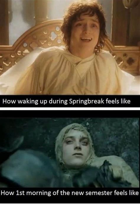 Home video spring break amateur lesbians. 17 LOTR Memes | Silly!! | Pinterest | LOTR, Colleges and ...