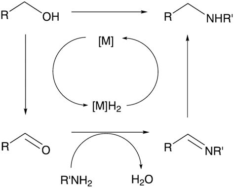 General Mechanism For Alkylation Of Amines With Alcohols Through The