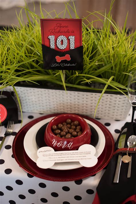 101 Dalmatians Birthday Party A Classic Party Rental