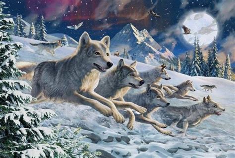 Art Adrian Chesterman Page 2 Art Wolf Pictures Snow Wolf