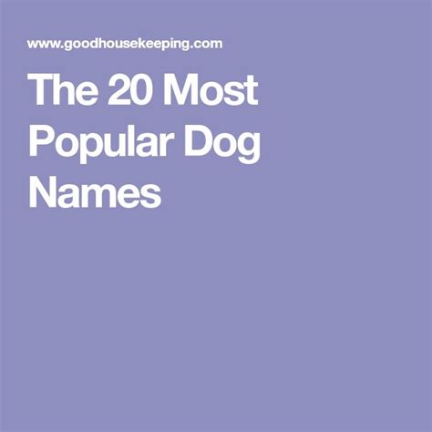The 20 Most Popular Dog Names Popular Dog Names Dog Names Most