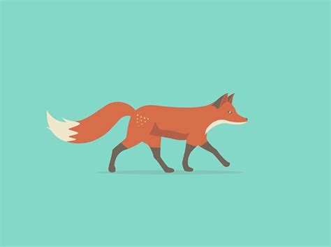 Dribbble Foxwalk800x600 By Jonathan Dahl