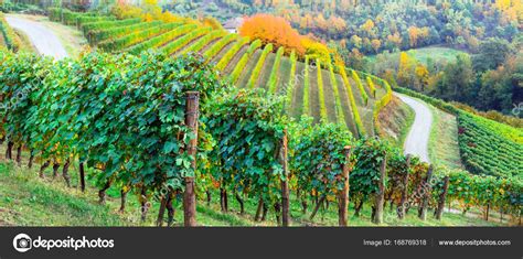 Pictorial Vineyards Of Piemonte In Autumn Colors Italy — Stock Photo