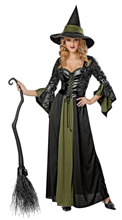Classic Witch Costume Shopko Costumes For Women Witches Costumes For Women Witch Halloween