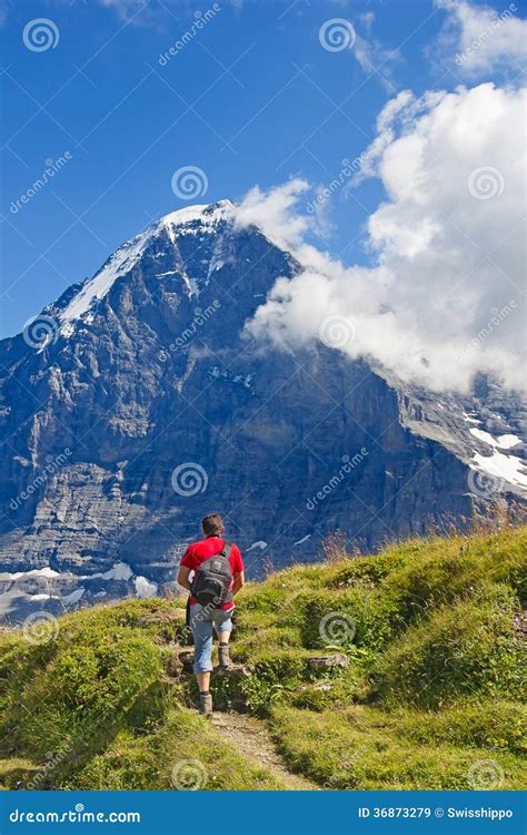Hiking In Swiss Alps Stock Image Image Of Adventure 36873279