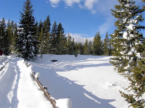 The Snow Covered Ground Is Surrounded By Pine Trees