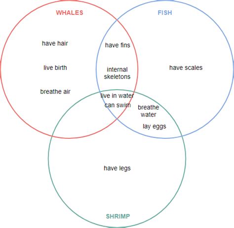 3 Circle Venn Diagram Template For Your Needs