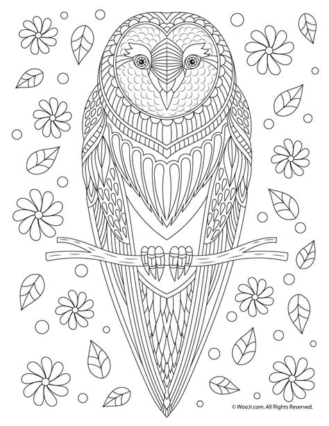 53 adult coloring pages animals cartoons printable coloring pages. Owl Adult Coloring Page | Owl coloring pages, Bird ...