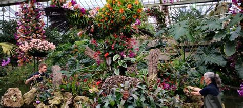Celebrating The Colour Of Colombian Orchids At Kew Pumpkin Beth