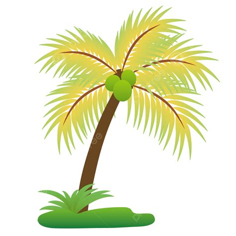 Coconut Tree Vector Hd Images Vector Material Of Coconut Tree Coconut