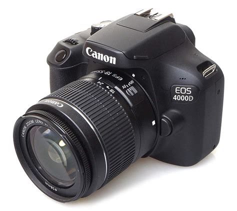 Canon Eos 4000d Para Aprender Fotografía 2024