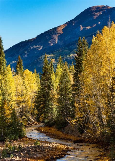 Red Mountain Creek At Sunrise Autumn In The San Juan Mountains Of