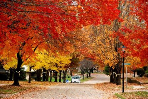 Here Are The Best Times And Places To View Iowas Fall Foliage In 2023
