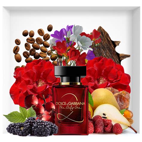 The Only One 2 Dolce And Gabbana Eau De Parfum Perfume And Beauty Magazine