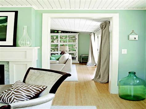 Light Mint Green Room Paint Color Cute Homes 24844