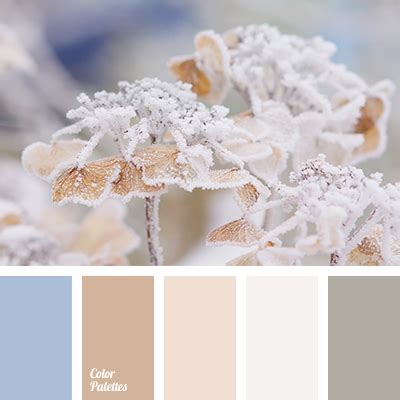 Golden blonde to medium brown hair and soft red hair. Natural blend of cold shades of blue and brown make for a ...