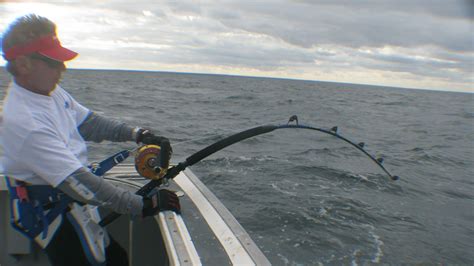 Second Trip To Prince Edward Island Saltwater Fishing Discussion Board Including Inshore
