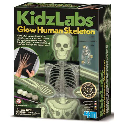 4m Science Human Skeleton Holdson Puzzle Store Nz