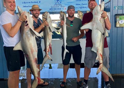 Galveston Fishing Charters The Best Fishing Experience In Texas