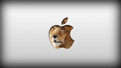 Lion Mac Os Apple Wallpapers Pc Brand