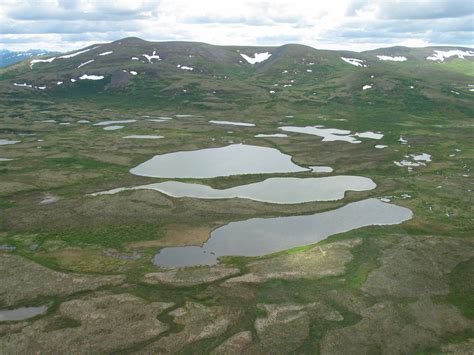Integrating geographically isolated wetlands into land management - Ecotone | News and Views on ...