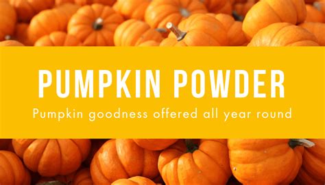 Pumpkin Powder The Perfect Ingredient For Your Next Food Offering Seawind Foods Dehydrated