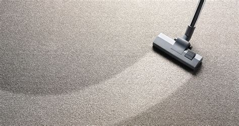 8 Advantages Of Using Professional Carpet Cleaning Services Rainbow