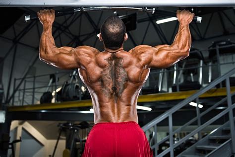 Isolate Your Rear Delt Exercises Buildingbeast