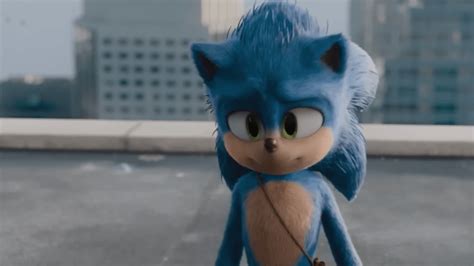 So What Is Sonic The Hedgehog Supposed To Be Is He Like A Uhhh Rat Or