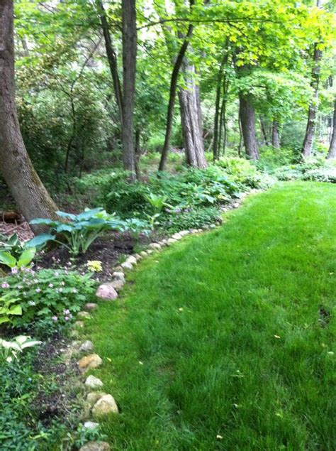 My Side Yard And Landscaping Next To Woods Wooded Backyard Landscape