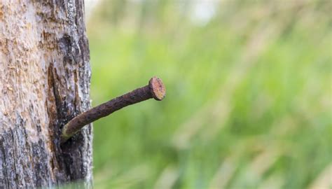 Experiments On The Rusting Of Iron Nails Sciencing