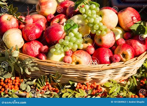 Ripe Apples With Grapes In A Basket Stock Image Image Of Food Apples