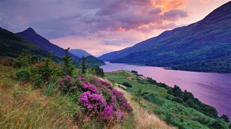 A Glen In The Highlands With Lavender Lens Hermosos Paisajes