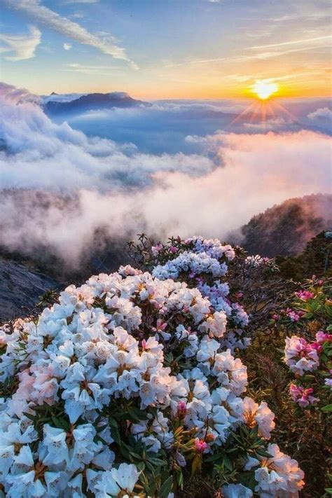 Amazing Nature Beautiful Places Beautiful Flowers Beautiful Sunrise