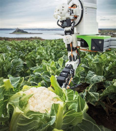 Easy Pickings How Robot Farm Hands Could Revolutionise Agriculture Delayed Gratification