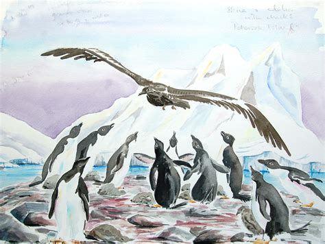 Antarctic Sketchbook Mary Anne Bartlett