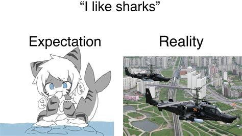 Another Changed Tigershark Meme Thingy Rchangedfurry
