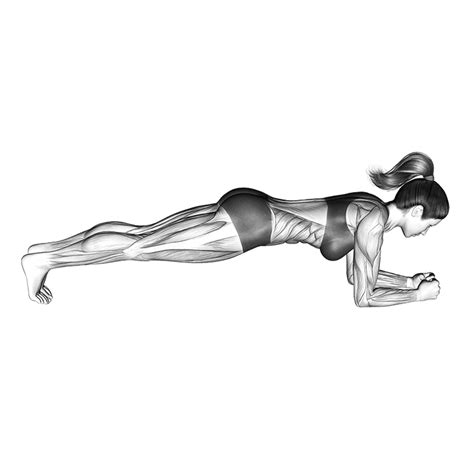 planks benefits muscles worked and more inspire us