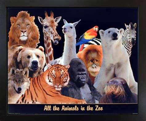 Framed Wall Decoration Zoo Animal Collage Kids Room Black Framed Wall